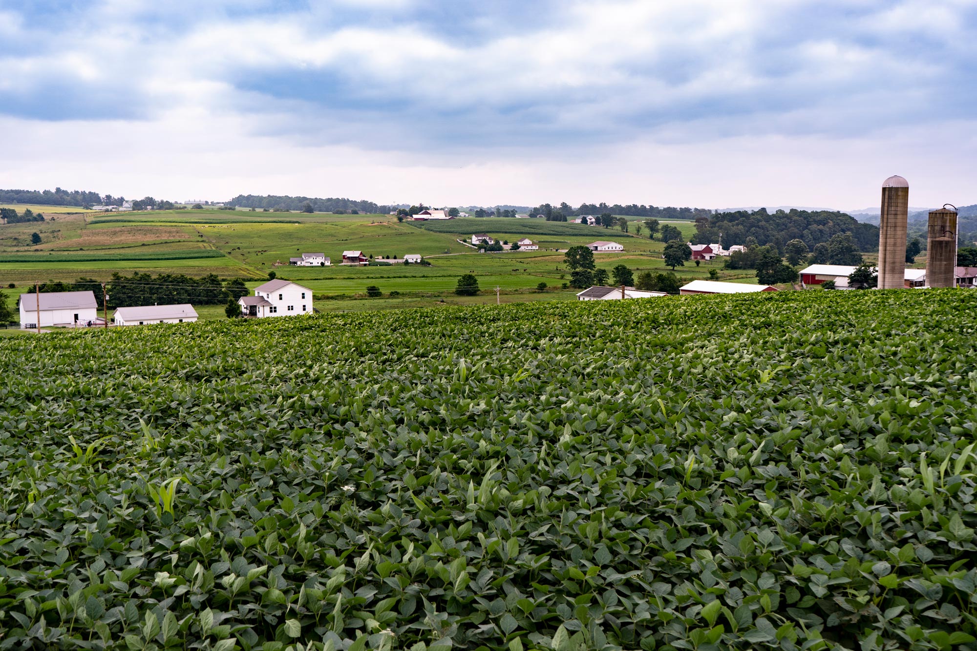 Lush Amish Country Landscape